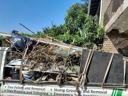 Same-Day Junk Removal Services in Georgetown, PA